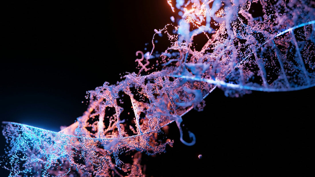 We Read ‘Biohacking’ Articles So You Don’t Have To (Here’s What Actually Matters for Women)